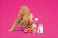 Pumpkin Spice-Themed Dog Toys Image 1