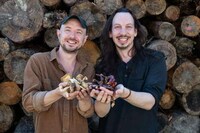 Functional Mushroom Product Expansions Image 1