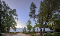 Art Center Sweeping Canopies Image 1