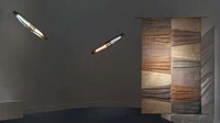 Sustainable Luffa Plant Lighting Image 2
