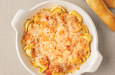 Baked Tortellini Pastas