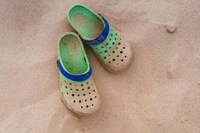 Bug-Repelling Charm Collections Image 2