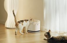 Multi-Cat Smart Fountains