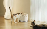 Multi-Cat Smart Fountains