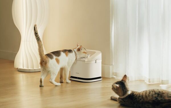 Multi-Cat Smart Fountains