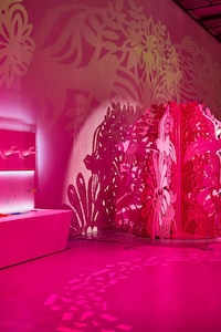 Dynamic Immersive Play Museums Image 1