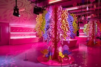 Dynamic Immersive Play Museums Image 5