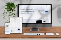 Global Cryptocurrency Adoption Programs