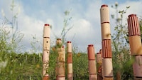 Hollow Terracotta Pillared Gardens