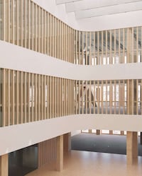 Mass-Timber Expansive Buildings Image 3