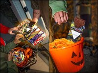 Gourmet Halloween-Themed Chocolates Image 2