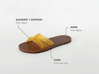 Algae-Made Slippers Image 6