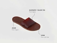 Algae-Made Slippers Image 7