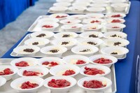 Record-Breaking Cheesecakes Image 2