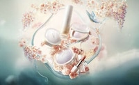 Chinese Beauty Expansions Image 1