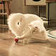 Multi-Mode Smart Cat Toys Image 1