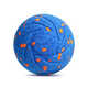 Shelled Smart Dog Toys Image 2