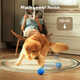 Shelled Smart Dog Toys Image 5