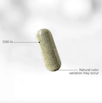 Sea Moss Capsules Image 4