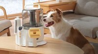 At-Home Pet Grooming Appliances Image 2