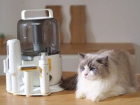 At-Home Pet Grooming Appliances Image 4