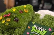 Plant-Based Low-Sugar Candies