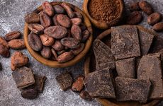 Cocoa Powder Alternatives