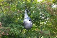 Modernism Birdhouse Exhibitions Image 3