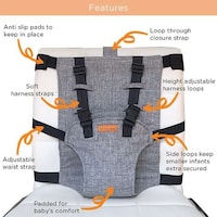 Convenient Baby Harness Seats Image 2