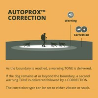 Virtual Dog Leashes Image 6
