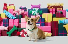 Expansive Seasonal Pet Products