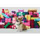 Expansive Seasonal Pet Products Image 1