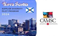 Supplier Diversity Pilot Programs Image 1