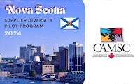 Supplier Diversity Pilot Programs