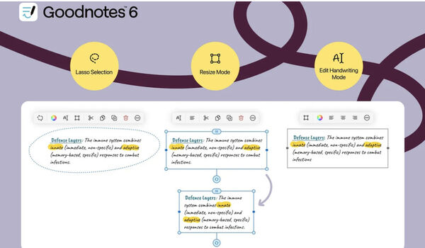 Handwriting Editing Tools Image 2