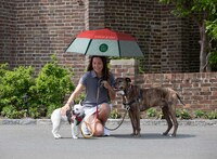 Charity-Benefiting Umbrellas Image 1
