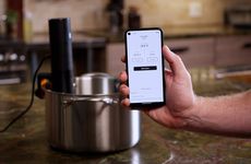 Mini Sous-Vide Devices