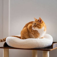 Therapeutic Cat Beds Image 1
