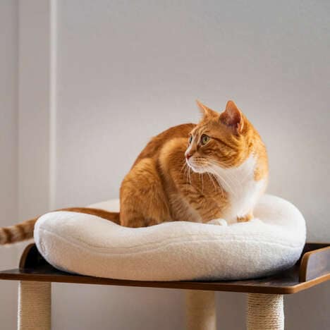 Therapeutic Cat Beds
