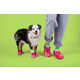 Pet-Sized Clogs Image 1