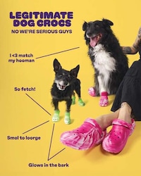 Pet-Sized Clogs Image 2