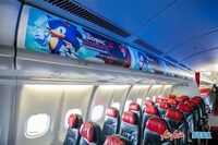 Cartoon Hedgehog Airplane Designs Image 1