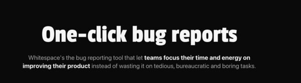 Automated AI Bug-Reporting