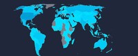 AI Editorial-Powered Insights