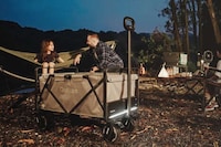 Lightweight Powered Cargo Carts