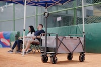 Lightweight Powered Cargo Carts Image 2