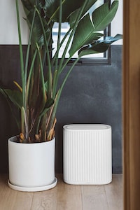 Style-Conscious Air Purifiers Image 7