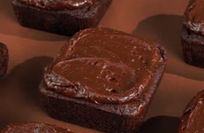 Chewy Double Fudge Brownies