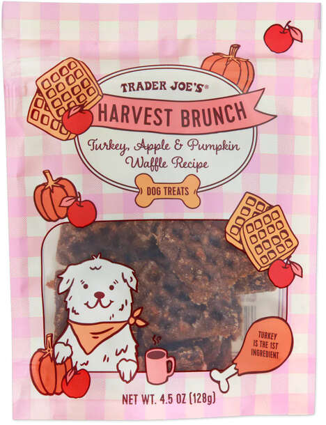 Season Pumpkin Dog Treats