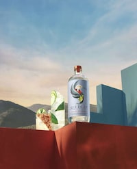 Tequila-Inspired Non-Alcoholic Spirits Image 1